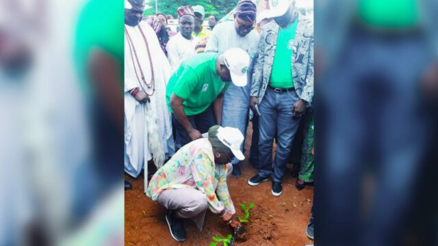 Tree planting