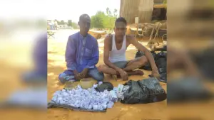 Suspected terrorist collaborators
