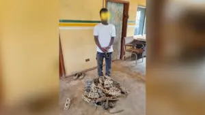 Suspected with recovered cables