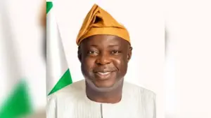 Director-General of the NGSA, Prof. Olusegun Omoniyi Ige