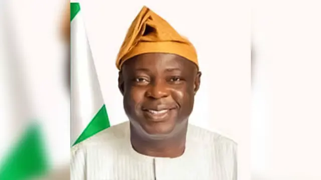 Director-General of the NGSA, Prof. Olusegun Omoniyi Ige
