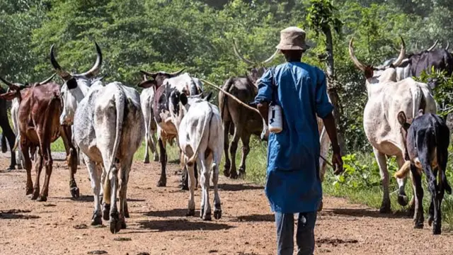 Fulani Pastoralists
