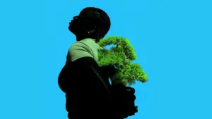 Bonsai