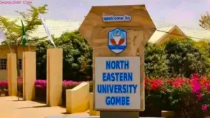 North Eastern University Gombe