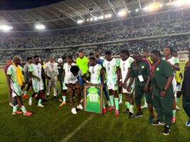 Super Eagles