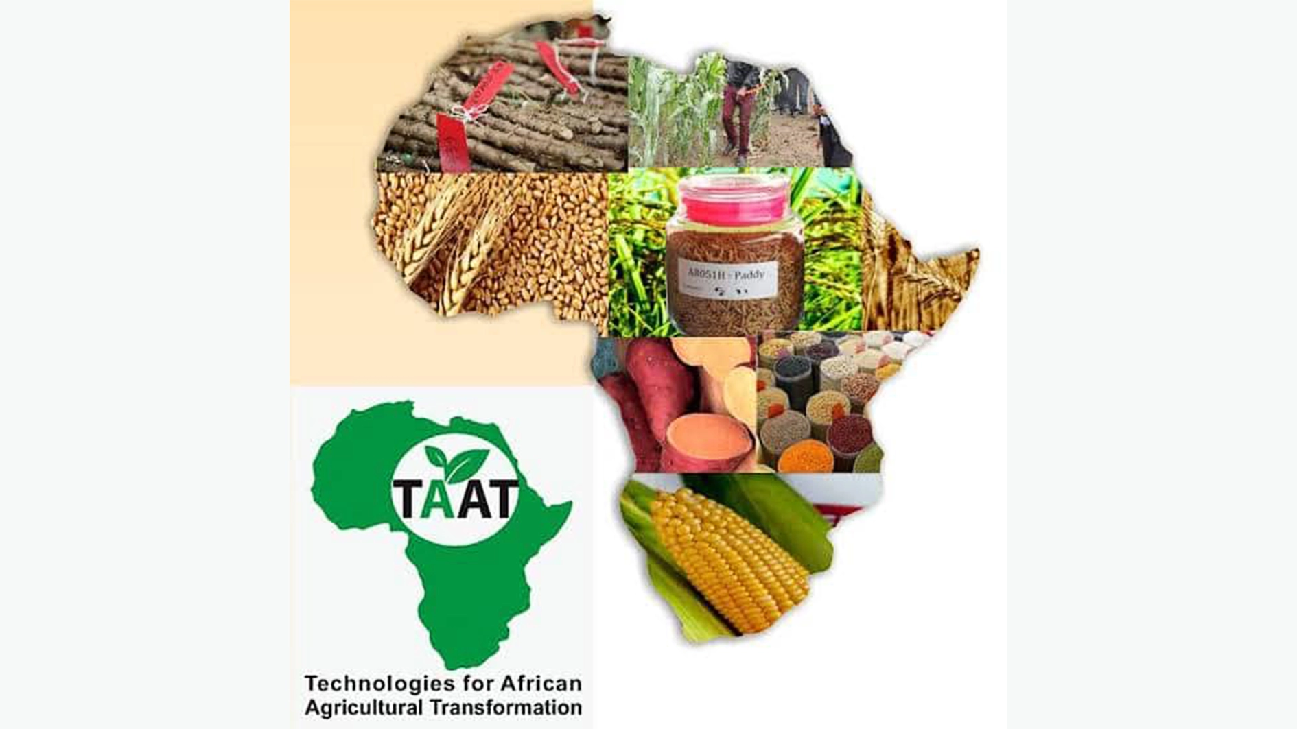 Technologies for African Agricultural Transformation (TAAT)