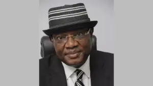 President, NMLA, Mike Igbokwe
