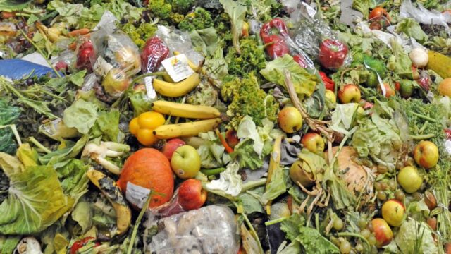 food-wastage