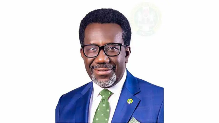 Chief Executive Officer of the National Insurance Commission (NAICOM), Mr. Olusegun Ayo