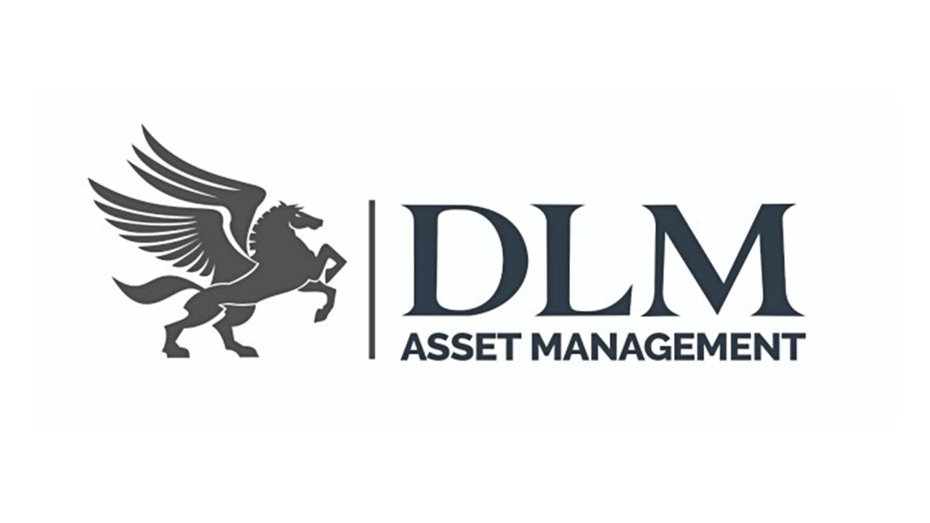 DLM Asset Management Limited