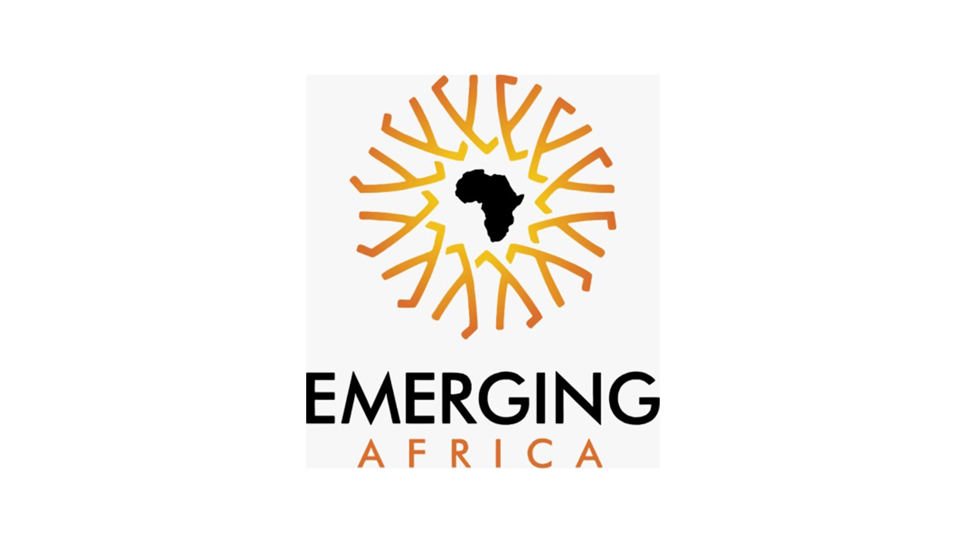 Emerging Africa Asset Management