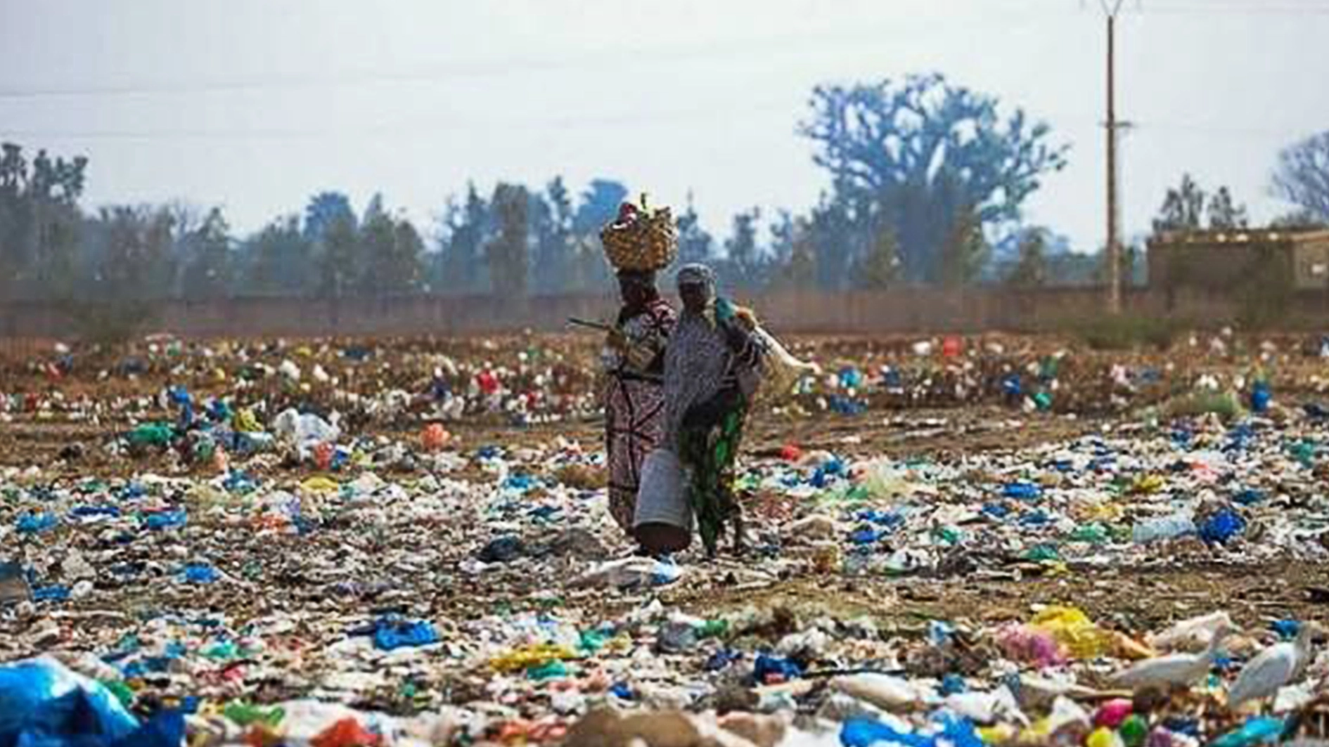 Environmental Health