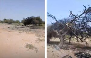 MOPTI