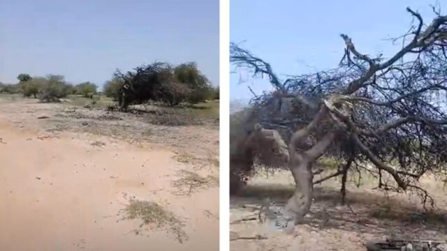 MOPTI
