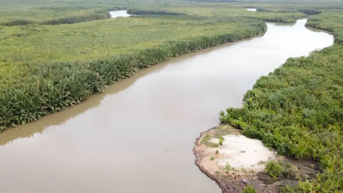 Mangrove forests and waterways in Nigeria’s Niger Delta, where biodiversity conservation supports fisheries and coastal livelihoods