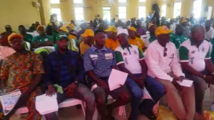 Osun Internal Revenue Service (OIRS),