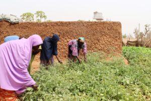 Rebecca-Clement-works-with-women-in-a-garden