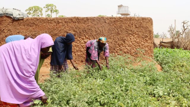 Rebecca-Clement-works-with-women-in-a-garden