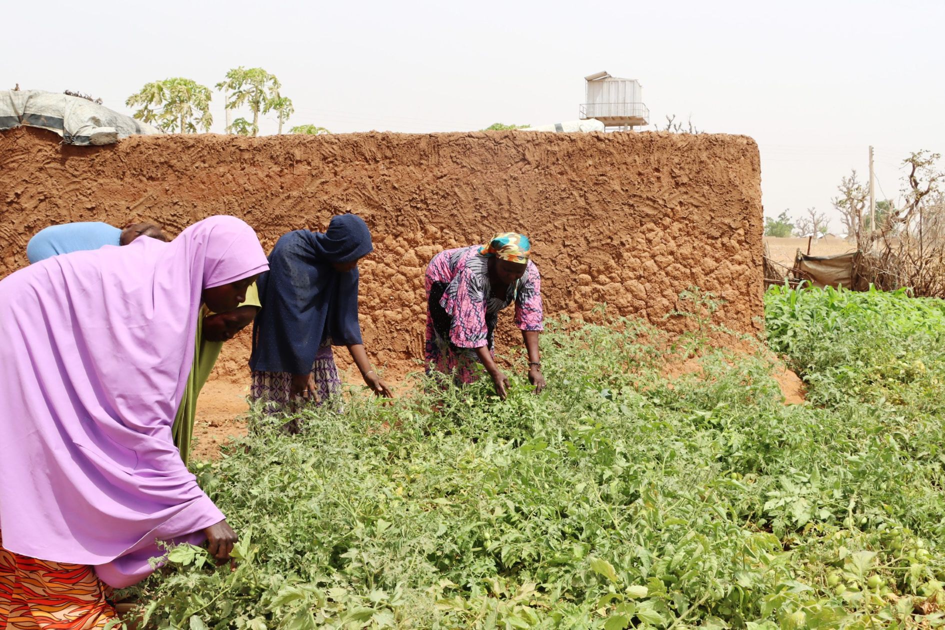 Rebecca-Clement-works-with-women-in-a-garden