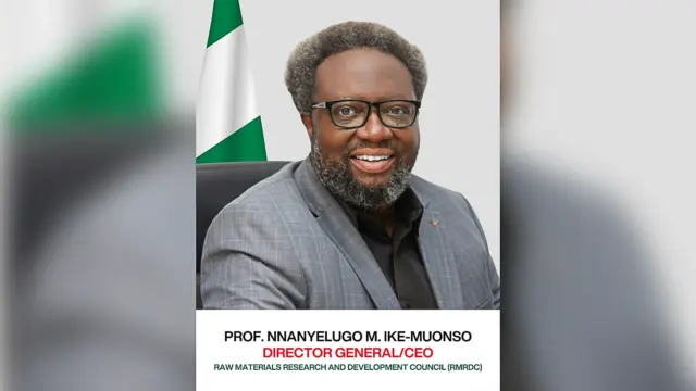 The Director-General the Raw Materials Research and Development Council (RMRDC), Prof. Nnanyelugo Ike-Muonso,