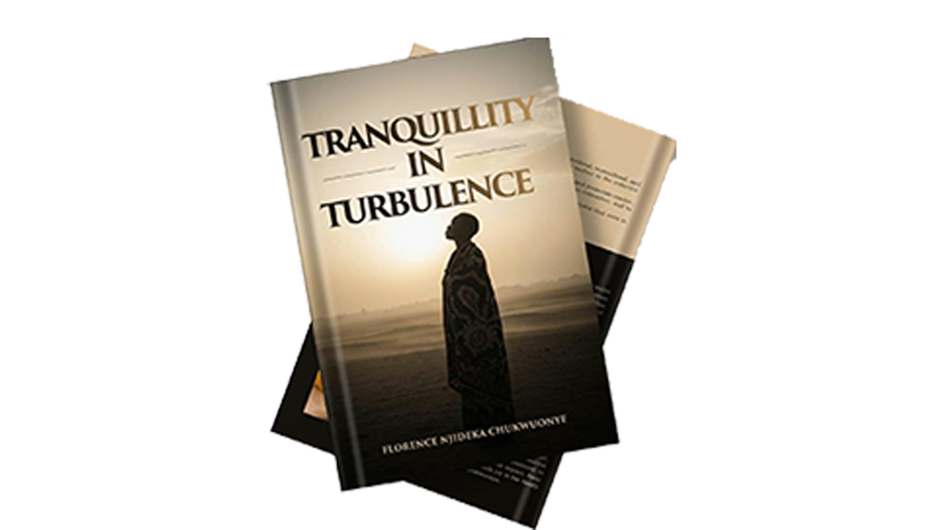 Tranquility-In-Turbulence