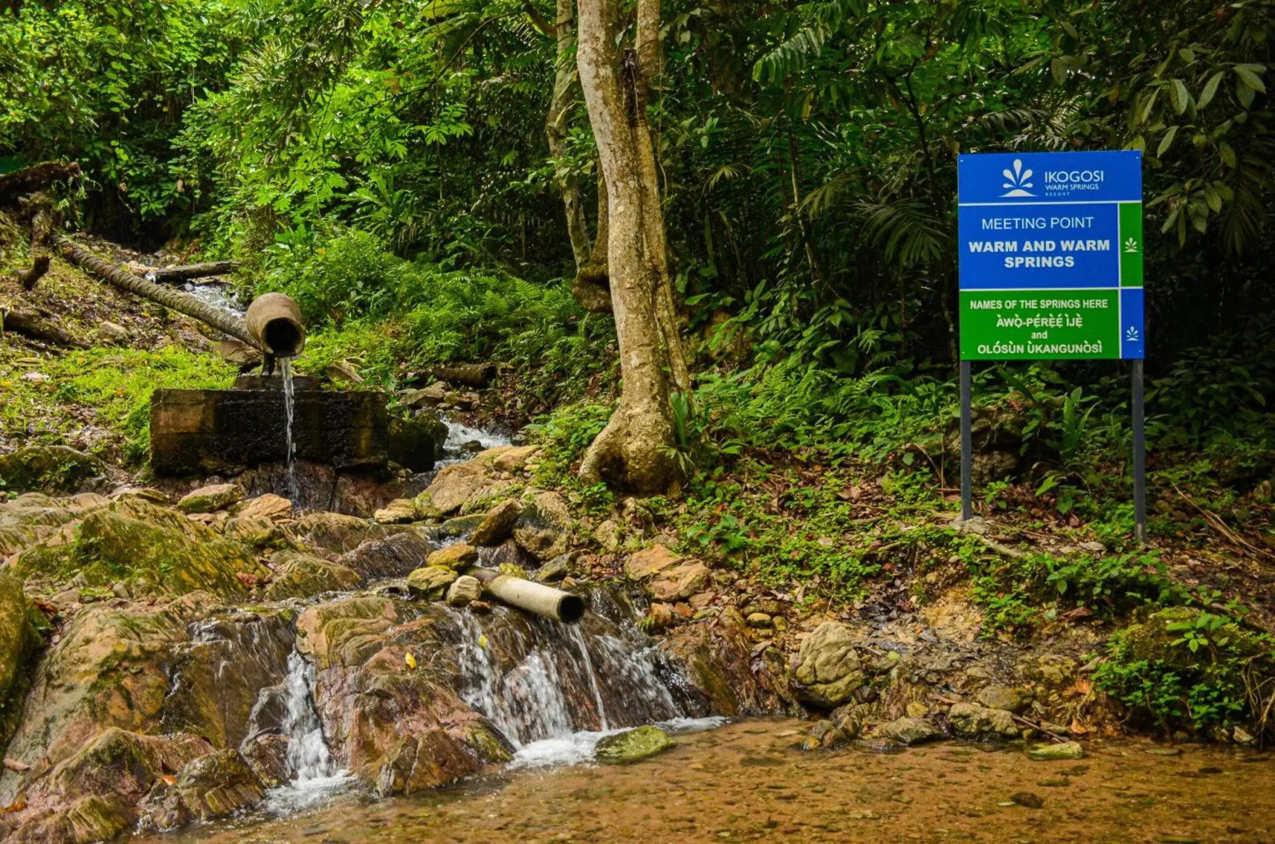 Ikogosi Warm Springs