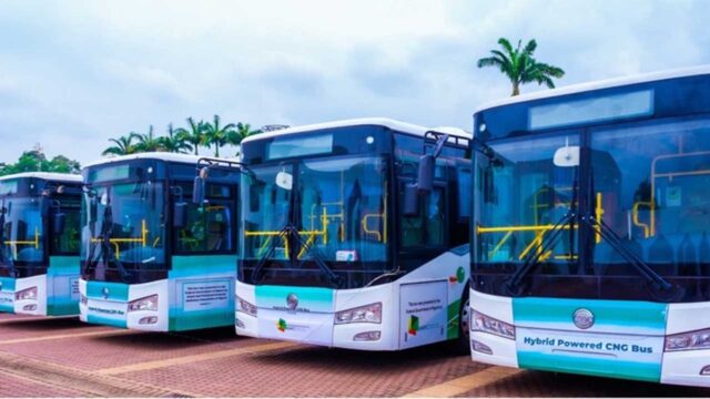 cng-bus