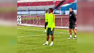 Super Eagles