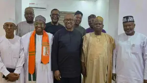 2027: Six Opposition parties begin talks with presidential candidates