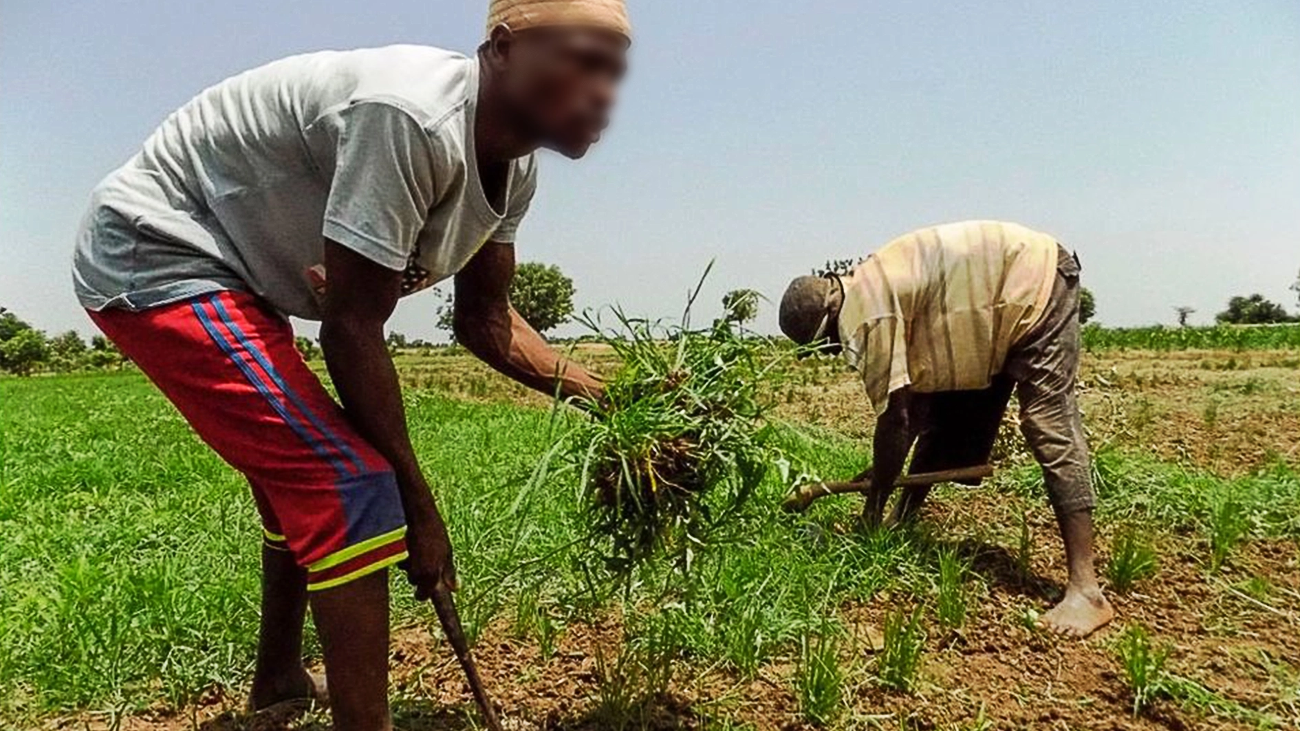 Farmers tilling the land
