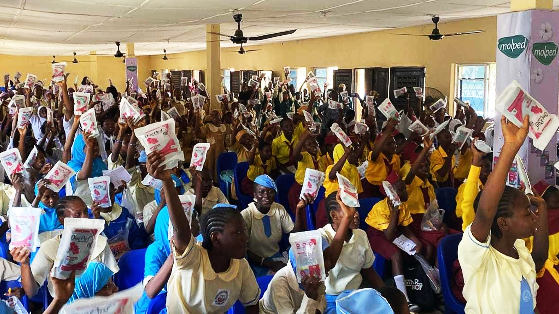 Helen Alabi Youth Development Initiatives (HAYDI)