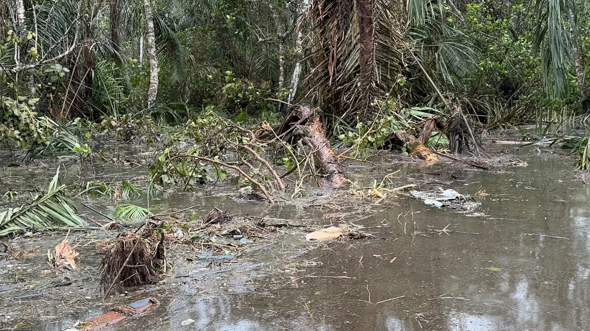 NAF Aircraft Crash: 24 hours after, victimsβ remains still trapped in Ondo swamp - The Guardian Nigeria News