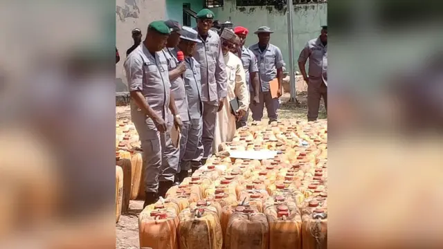 Customs Intercept PMS
