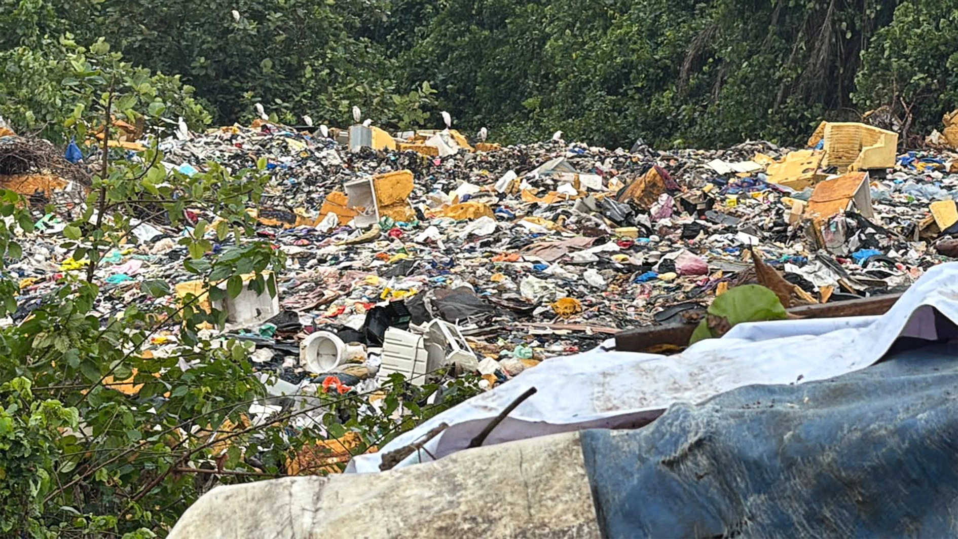 The illegal dumpsite at Ejigbo                                     PHOTO: ENIOLA DANIEL
