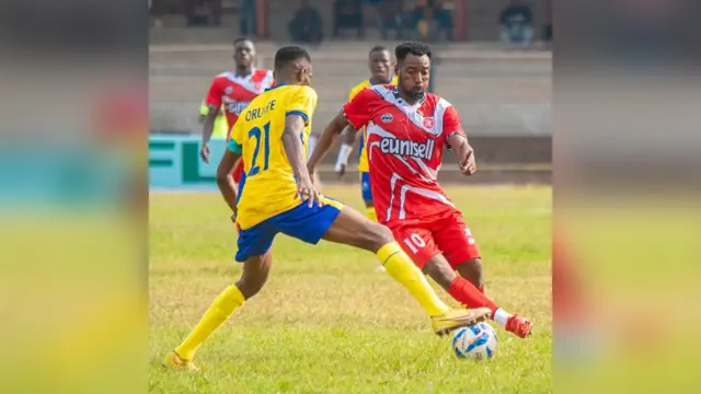 Warri Wolves