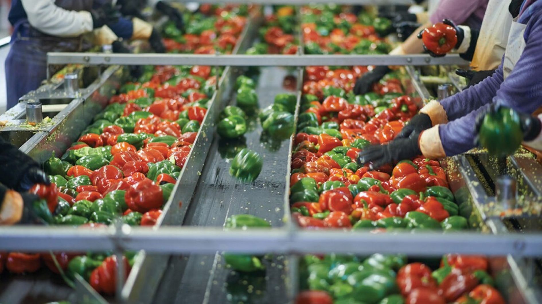 food-processing-industry