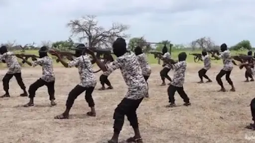 Boko Haram's new generation of fighters