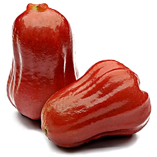 Rose-Apple-pix1