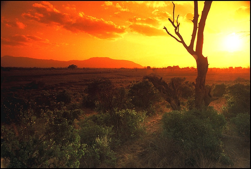 africaa-lifemag