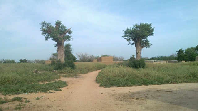 Tamki-e1459758727257