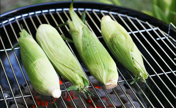 Corn