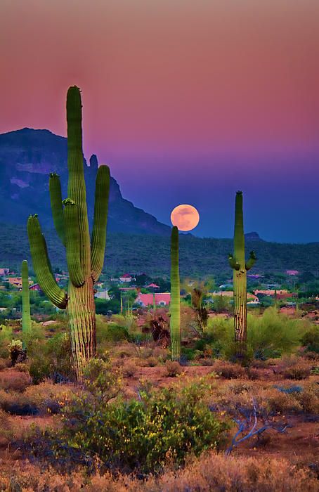 Superstition-Mountain