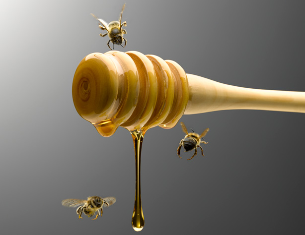 bees-honey